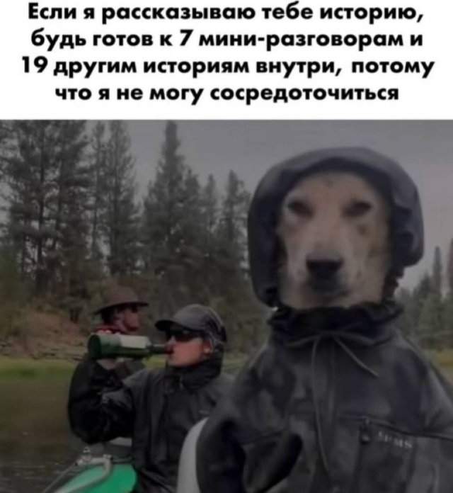 Смешные картинки - 14.07.2025 Смешные картинки - 14.07.2025