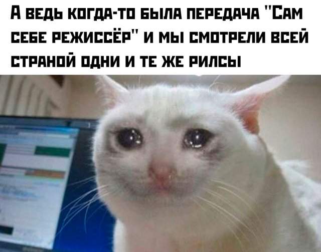 Лучшие шутки и мемы из Сети - 14.07.2025