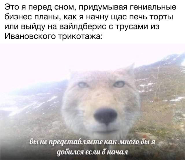 Лучшие шутки и мемы из Сети - 14.07.2025 Лучшие шутки и мемы из Сети - 14.07.2025