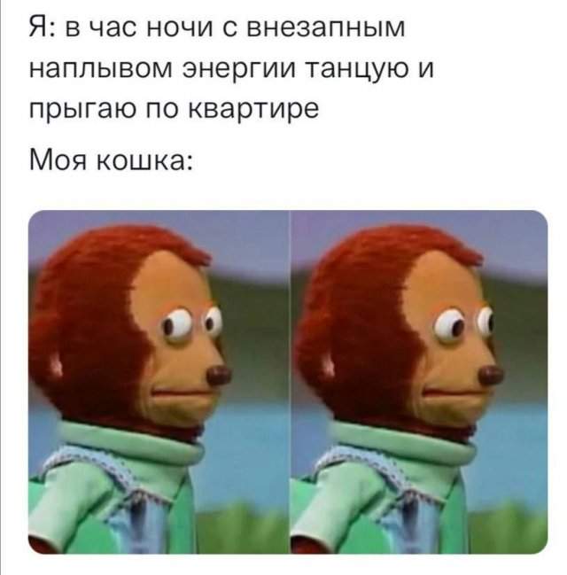 Лучшие шутки и мемы из Сети - 14.07.2025 Лучшие шутки и мемы из Сети - 14.07.2025