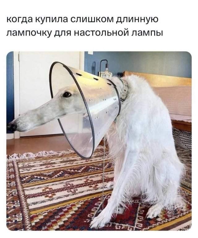 Смешные мемы - 15.07.2025 Смешные мемы - 15.07.2025