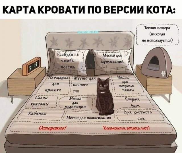 Смешные мемы - 15.07.2025 Смешные мемы - 15.07.2025