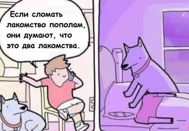 Смешные мемы - 15.07.2025 Смешные мемы - 15.07.2025