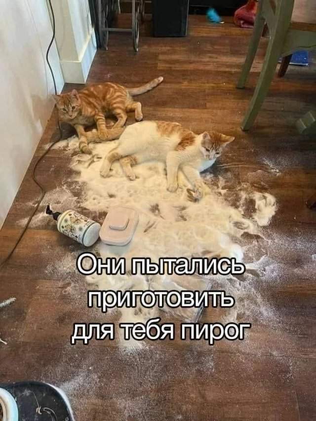 Лучшие шутки и мемы из Сети - 15.07.2025 Лучшие шутки и мемы из Сети - 15.07.2025
