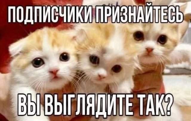 Лучшие шутки и мемы из Сети - 15.07.2025 Лучшие шутки и мемы из Сети - 15.07.2025