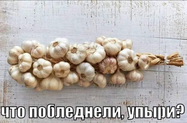 Лучшие шутки и мемы из Сети - 15.07.2025 Лучшие шутки и мемы из Сети - 15.07.2025