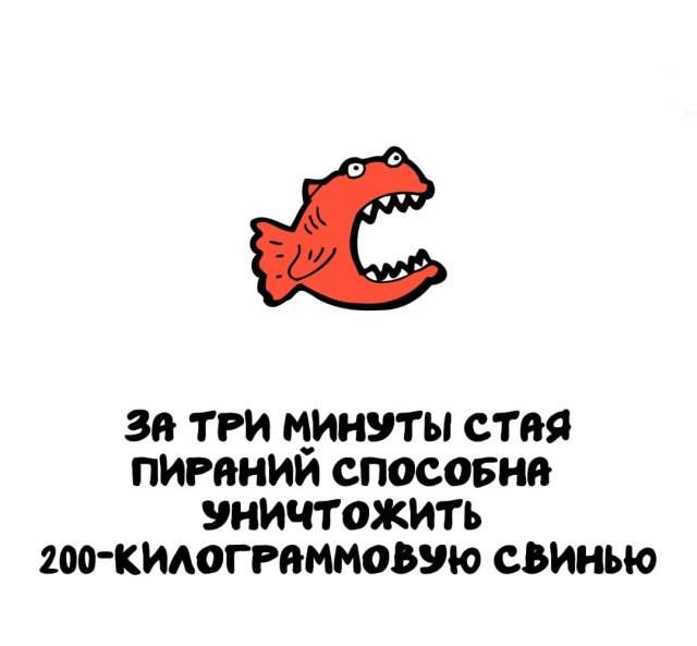 Интересные факты на все случаи жизни Интересные факты на все случаи жизни