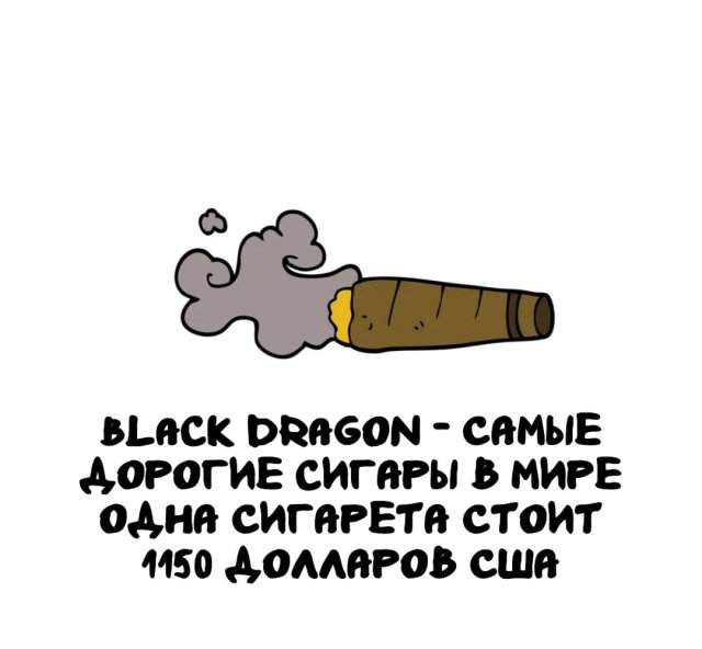 Интересные факты на все случаи жизни Интересные факты на все случаи жизни