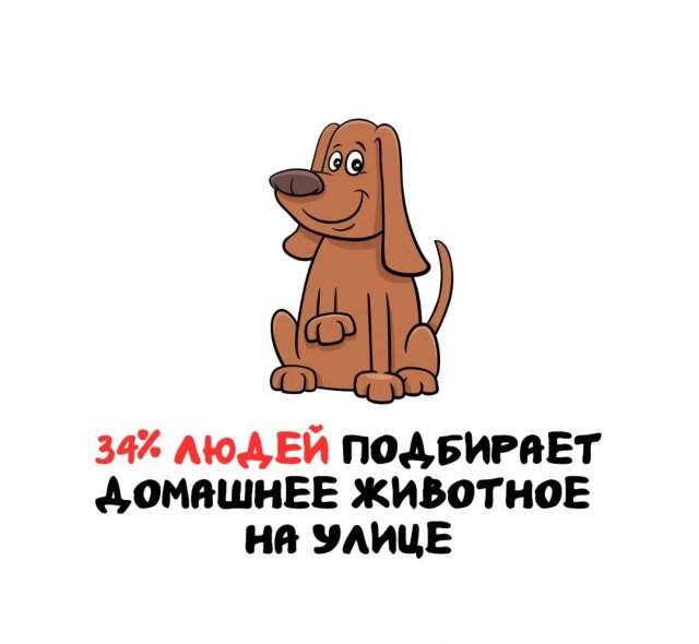 Интересные факты на все случаи жизни Интересные факты на все случаи жизни