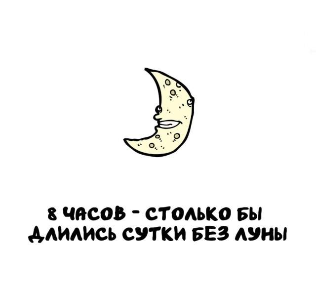 Интересные факты на все случаи жизни Интересные факты на все случаи жизни