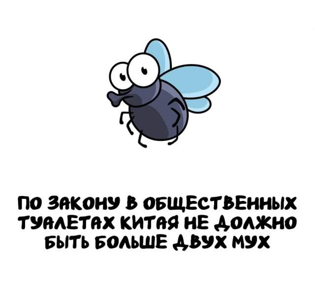 Интересные факты на все случаи жизни Интересные факты на все случаи жизни