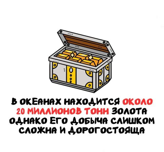 Интересные факты на все случаи жизни Интересные факты на все случаи жизни