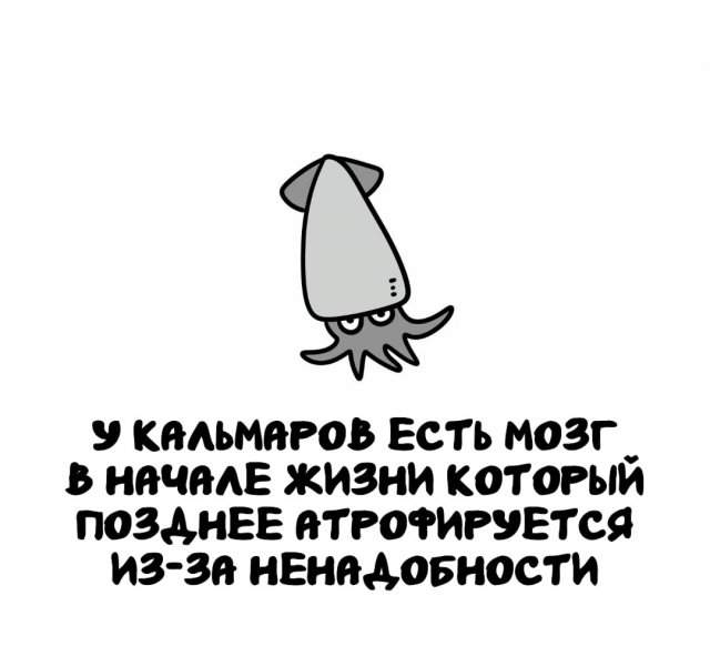 Интересные факты на все случаи жизни Интересные факты на все случаи жизни