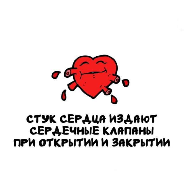 Интересные факты на все случаи жизни Интересные факты на все случаи жизни