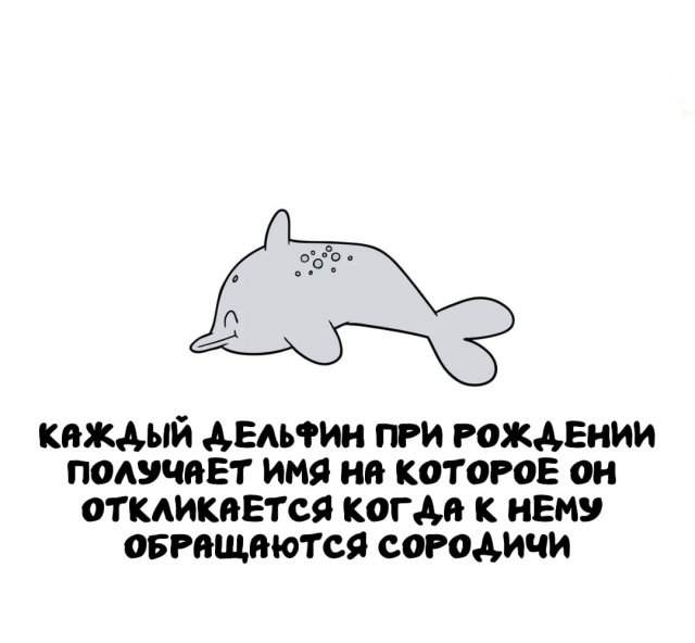 Интересные факты на все случаи жизни Интересные факты на все случаи жизни