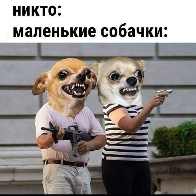 Лучшие шутки и мемы из Сети - 16.07.2025 Лучшие шутки и мемы из Сети - 16.07.2025
