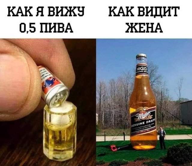 Лучшие шутки и мемы из Сети - 16.07.2025 Лучшие шутки и мемы из Сети - 16.07.2025