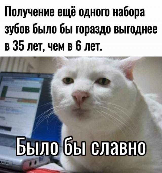 Лучшие шутки и мемы из Сети - 16.07.2025 Лучшие шутки и мемы из Сети - 16.07.2025
