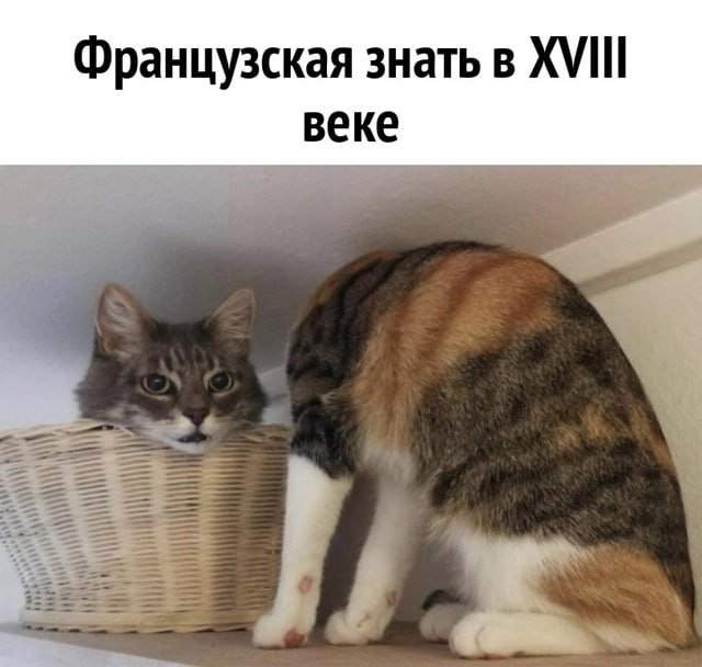 Смешные мемы - 17.07.2025