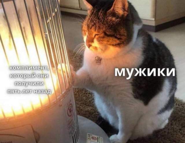 Смешные картинки - 17.07.2025 Смешные картинки - 17.07.2025
