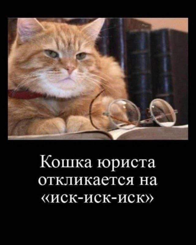 Лучшие шутки и мемы из Сети - 17.07.2025 Лучшие шутки и мемы из Сети - 17.07.2025
