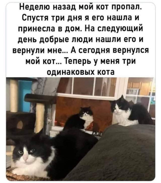 Лучшие шутки и мемы из Сети - 17.07.2025 Лучшие шутки и мемы из Сети - 17.07.2025