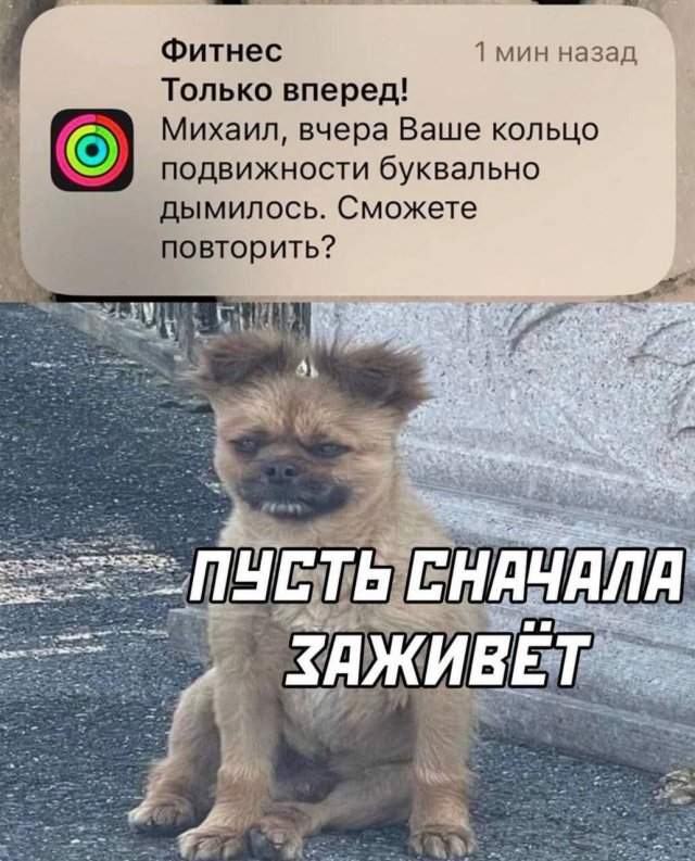 Лучшие шутки и мемы из Сети - 17.07.2025 Лучшие шутки и мемы из Сети - 17.07.2025