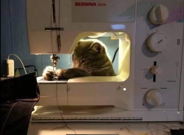 Целый день сегодня шью и одела всю семью Целый день сегодня шью и одела всю семью