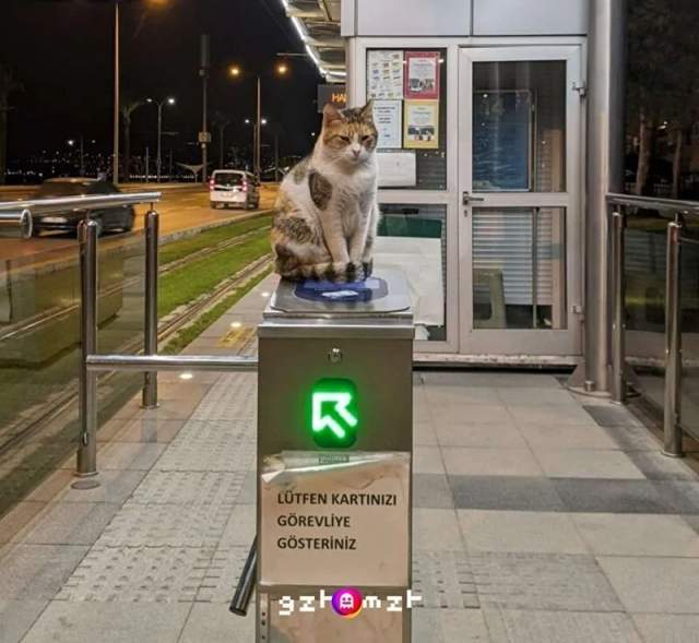 Не проходите мимо Не проходите мимо