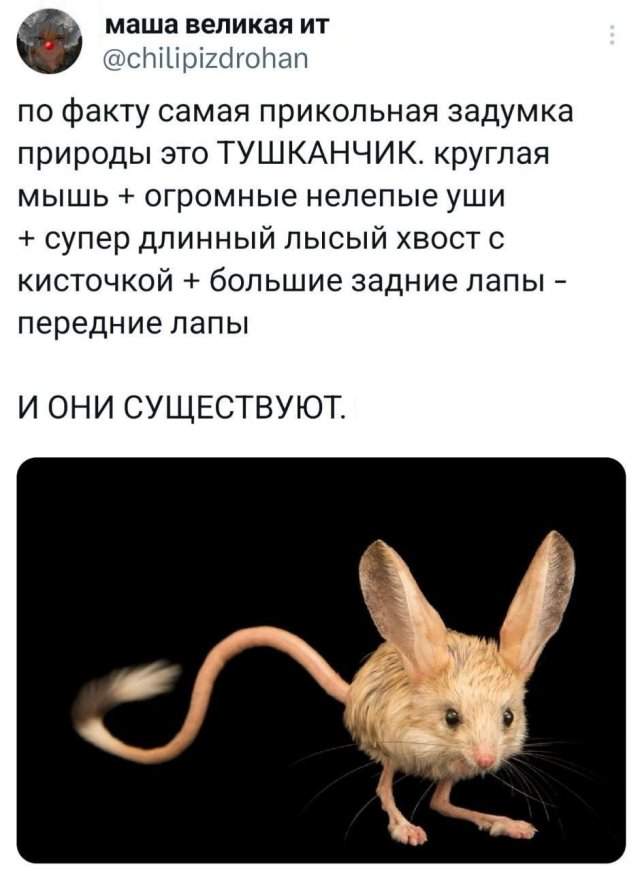 Подборка забавных твитов обо всем Подборка забавных твитов обо всем