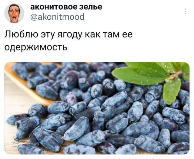 Подборка забавных твитов обо всем Подборка забавных твитов обо всем