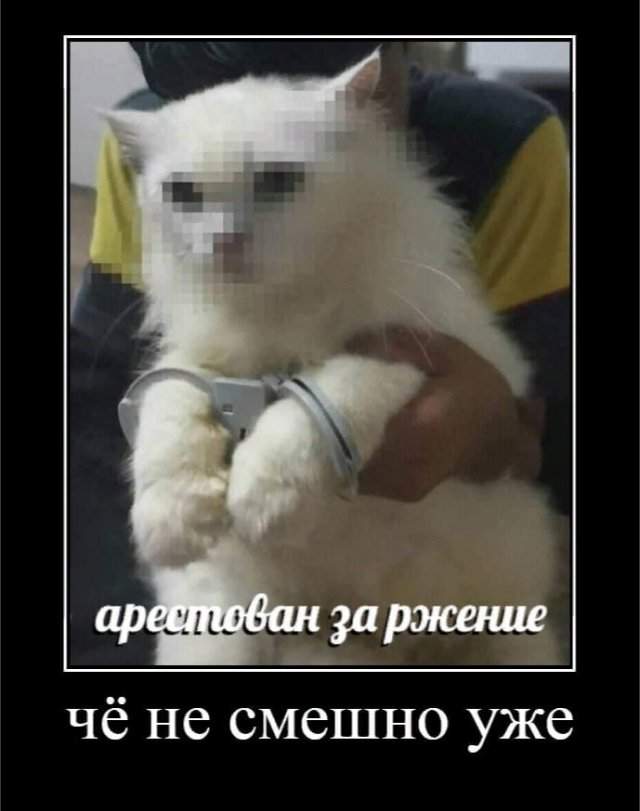 Демотиваторы - 18.07.2025