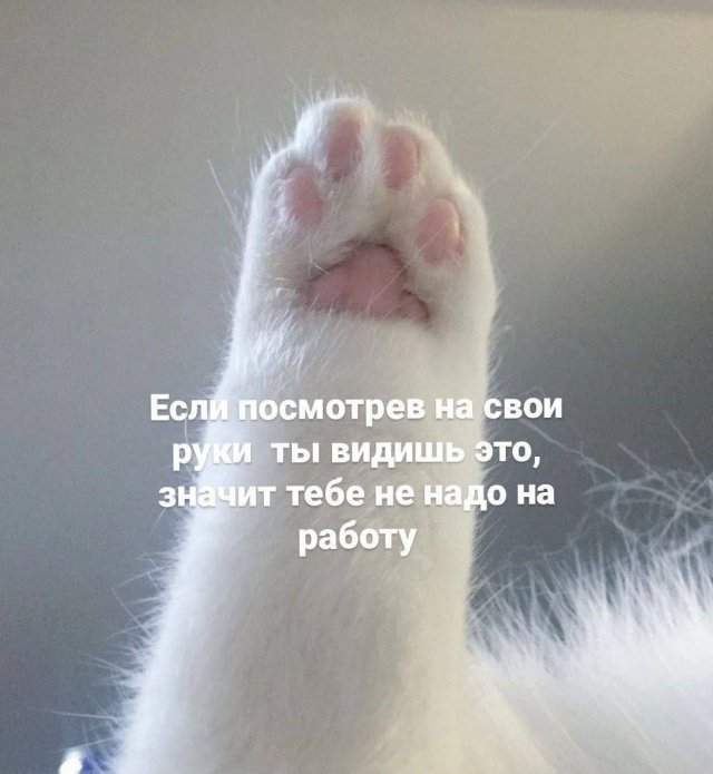 Смешные картинки - 18.07.2025