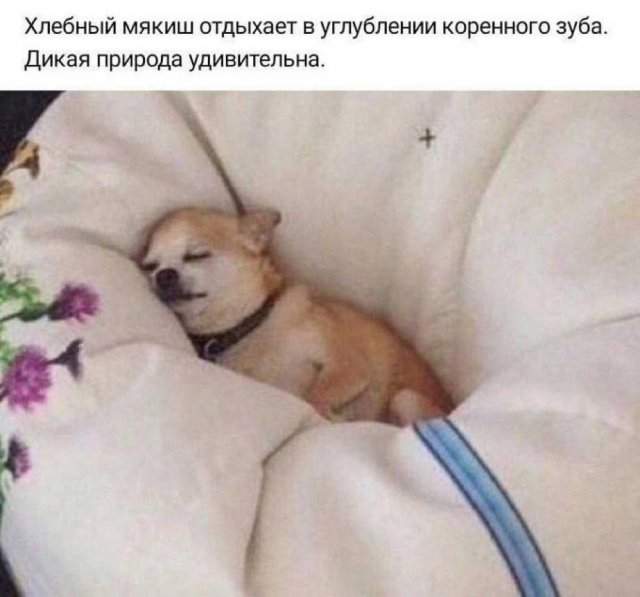 Смешные картинки - 18.07.2025
