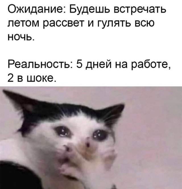 Лучшие шутки и мемы из Сети - 18.07.2025