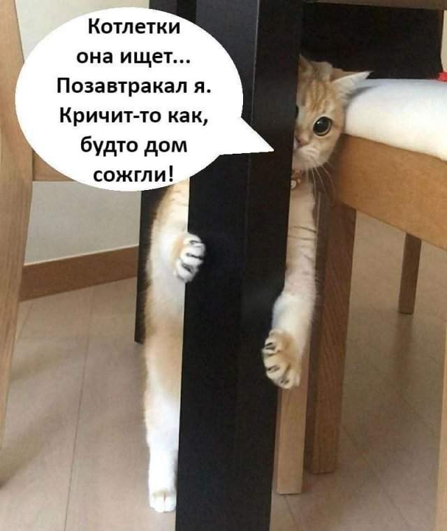 Лучшие шутки и мемы из Сети - 18.07.2025 Лучшие шутки и мемы из Сети - 18.07.2025