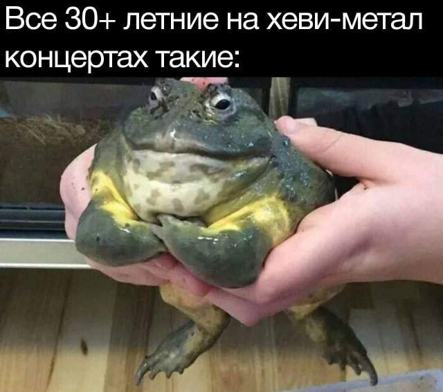 Лучшие шутки и мемы из Сети - 18.07.2025 Лучшие шутки и мемы из Сети - 18.07.2025