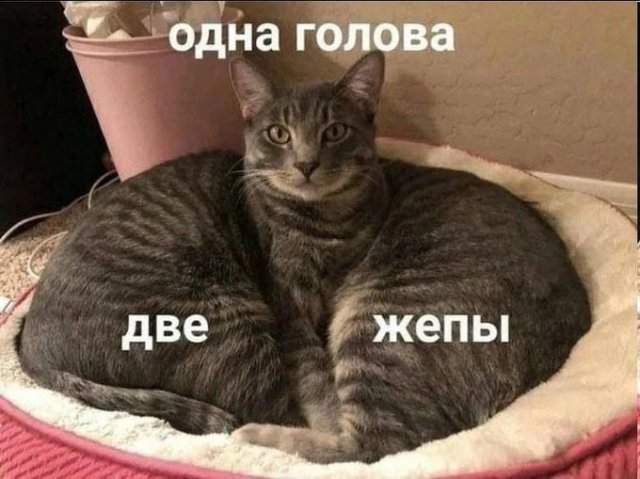 Смешные мемы - 21.07.2025 Смешные мемы - 21.07.2025