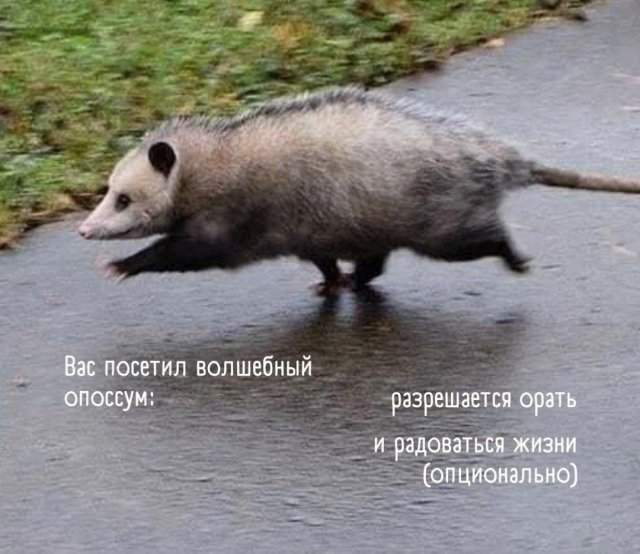 Смешные мемы - 21.07.2025 Смешные мемы - 21.07.2025