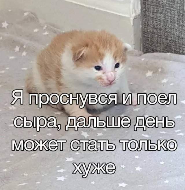 Смешные мемы - 21.07.2025 Смешные мемы - 21.07.2025