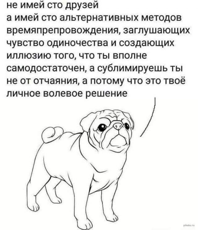 Смешные мемы - 21.07.2025 Смешные мемы - 21.07.2025