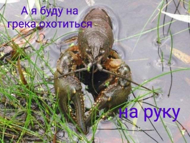 Смешные мемы - 21.07.2025 Смешные мемы - 21.07.2025