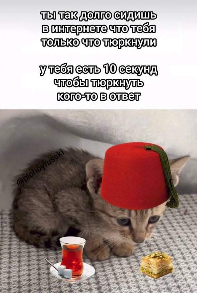 Смешные мемы - 22.07.2025 Смешные мемы - 22.07.2025