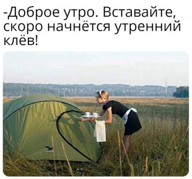 Смешные картинки - 22.07.2025