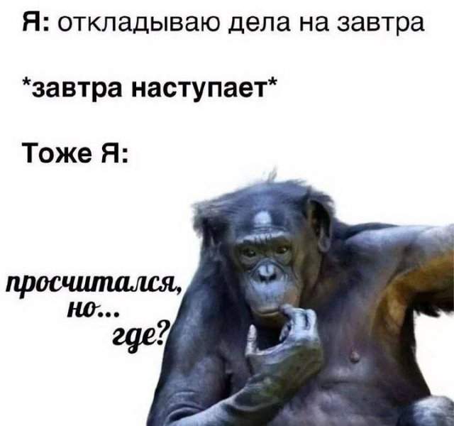 Смешные картинки - 22.07.2025