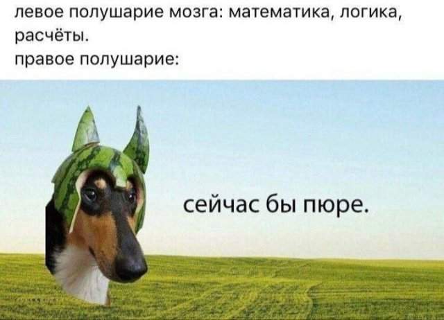 Смешные картинки - 22.07.2025
