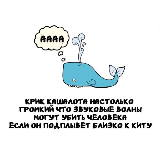 Интересные факты на все случаи жизни Интересные факты на все случаи жизни