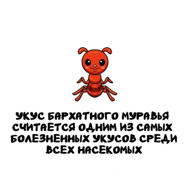 Интересные факты на все случаи жизни Интересные факты на все случаи жизни
