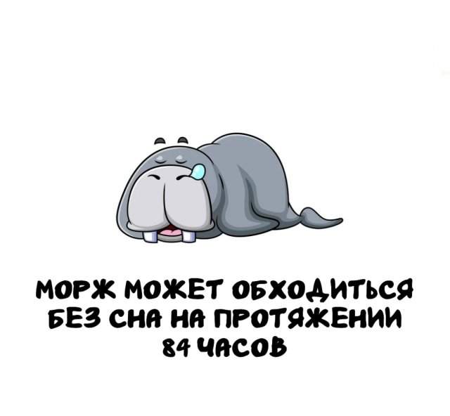 Интересные факты на все случаи жизни Интересные факты на все случаи жизни