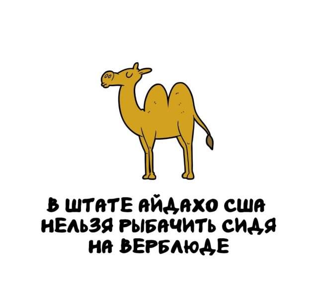 Интересные факты на все случаи жизни Интересные факты на все случаи жизни